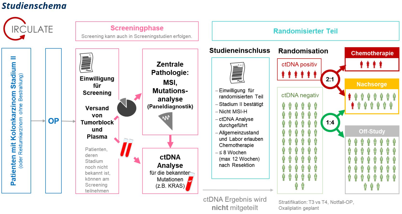 StudienschemaSynopseV3_neu.PNG