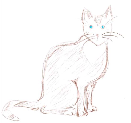 katze