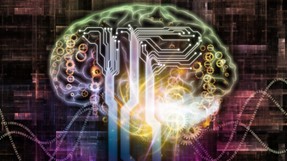 Brain II